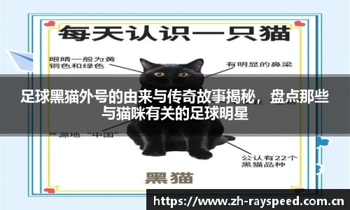 雷速体育